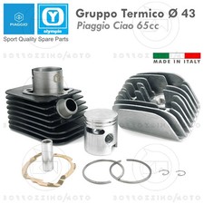 GRUPPO TERMICO OLYMPIA 65cc