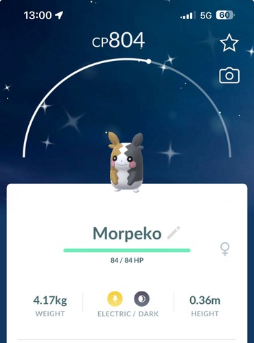 Shiny morpeko pokemon - shiny,