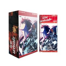 Solo Leveling Collect Card