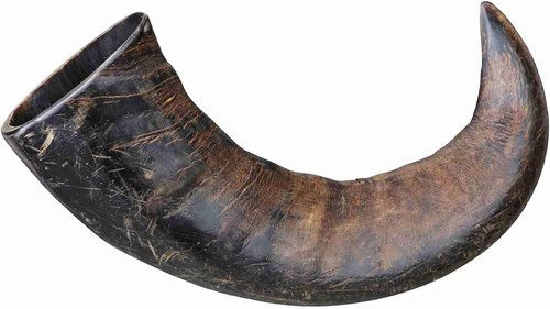 Corno masticare per cani - masticare,