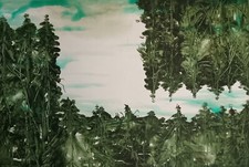 Pierluigi Pusole olio su tavola 80x120 cm autentica su fotografia