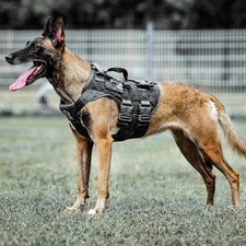 Imbracatura Tattica per Cani
