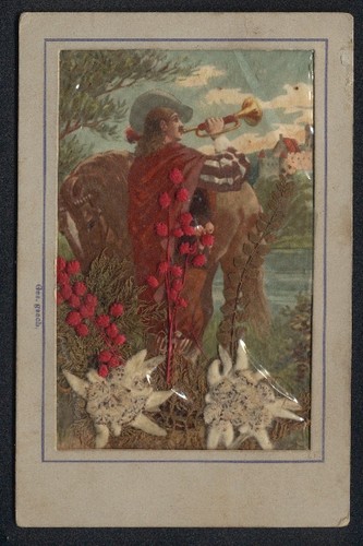 Cartolina fiori secchi
