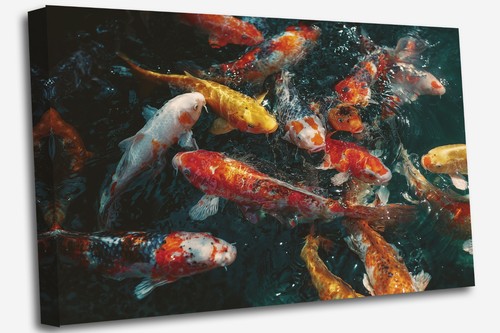 Arte parete carpa - arte, da