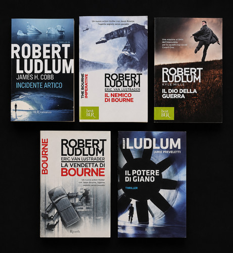 Lotto robert ludlum libri - ludlum,