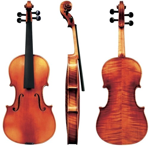 Violino maestro - -,