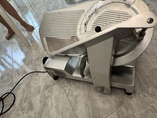 Affettatrice professionale