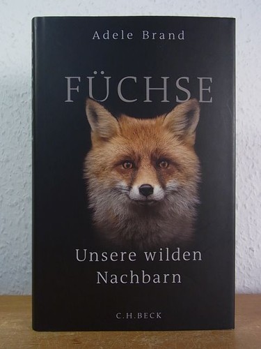 Füchse unsere wilden - unsere,