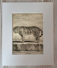 1767 litografia stampa