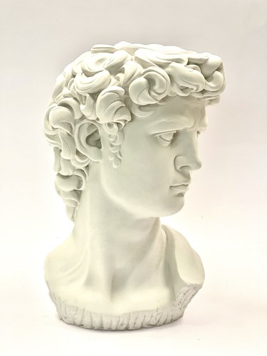 Testa david michelangelo - testa,