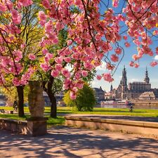 Buono viaggio 3* hotel 2 notti 2 persone viaggio in città Dresda incl. Carta Città