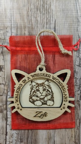 Norwegian forest maine - , coone