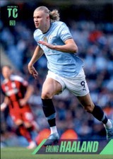 Panini Top Class 2025 Trading Card 120 - Erling Haaland - Avanti