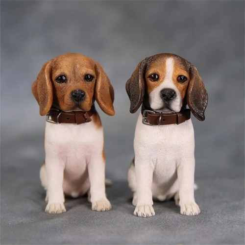 Jxk cane caccia beagle - 1/6,