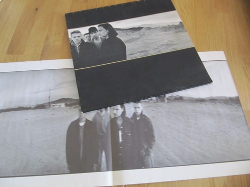 The joshua tree - the, tree,