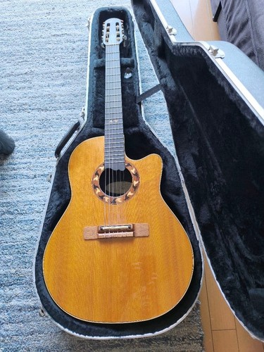 Chitarra elettrica acustica
