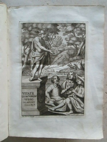 Vecchia uomo di compagnia - vecchia,