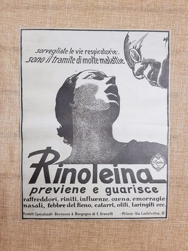 Rinoleina bernocco borgogno - bernocco,