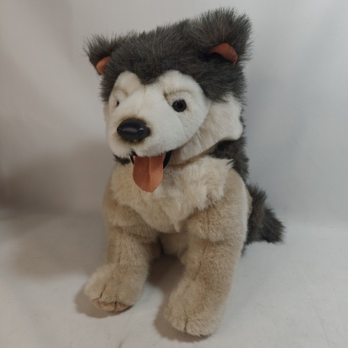 Husky peluche cucciolo - 🐕,