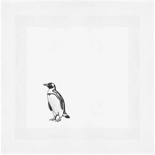 'Pinguino africano'