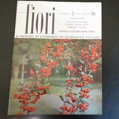 Fiori piante - fiori, e