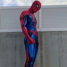 Costume Uomo Ragno Tuta