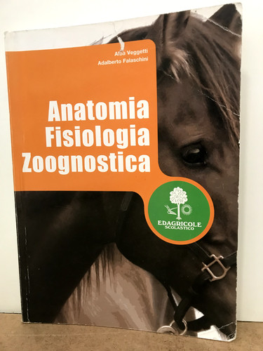 Anatomia fisiologia