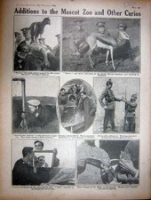 Vecchia stampa antica originale 1916 Ww1 Siers mascotte capra gufo periscopio tedesco