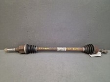 Cardano Anteriore Destro -