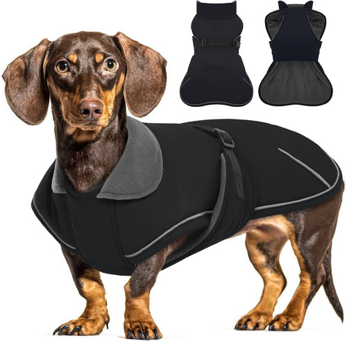 Cappotto cane invernale - cappotto,