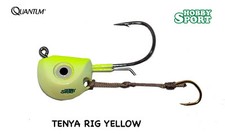 TENYA JIG QUANTUM GERMANY   32