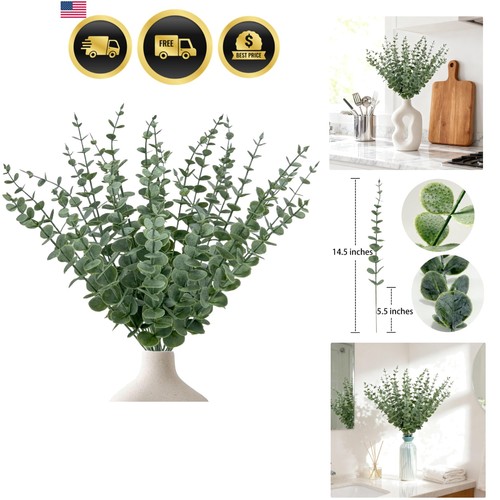 25pz steli eucalipto - 25pz, di