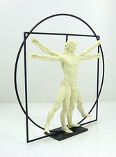 Statua Uomo Vitruviano