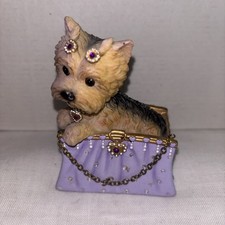 Diva Dogs Vintage Collezione