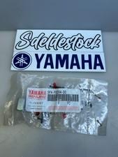 1 dado regolazione specchietto