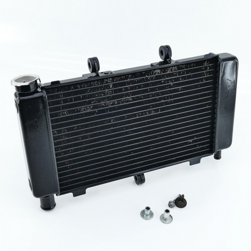 Radiatore acqua yamaha fz6 - acqua,
