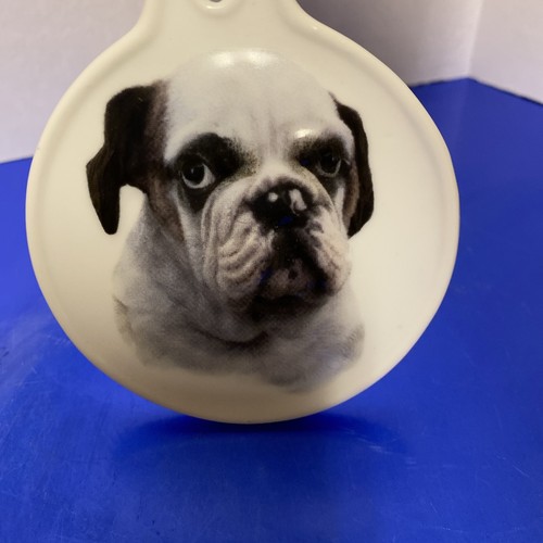 Bulldog cane cuccioli - bulldog,