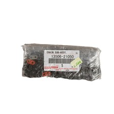 Catena distribuzione motore