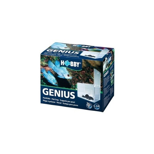 Trappola pesce genius hobby - pesce,