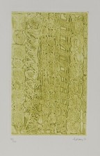 Luciano Lattanzi / acquaforte