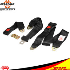 2x Cintura di Sicurezza