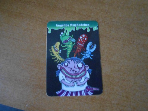 Figurina card skifidol - figurina,