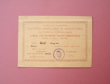 Rivara Mirandola Attestato Corso Coltivazione Piante Industriali 1930