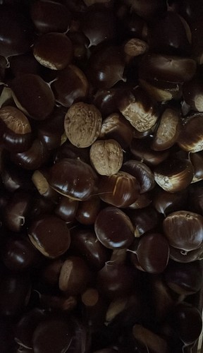 Castagne intere marroni