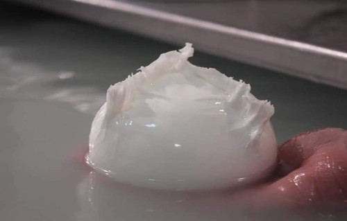 Mozzarella latte bufala - di,
