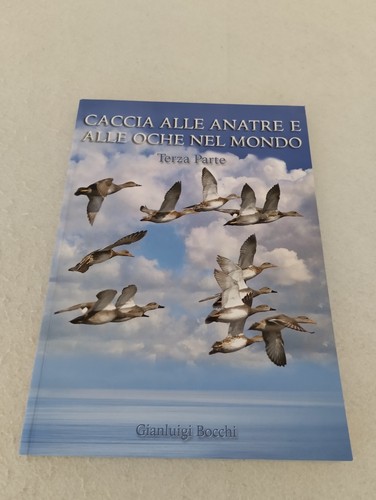 Caccia alle anatre oche - anatre, e