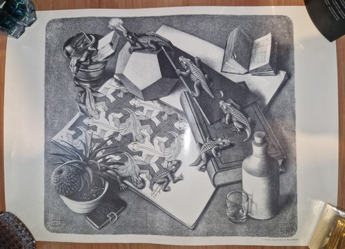 Poster litografia rettili
