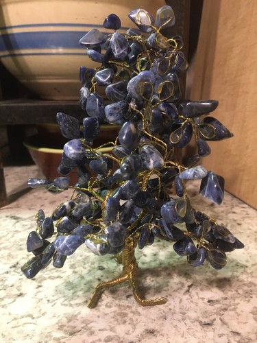 Bonsai filo pietra - di,