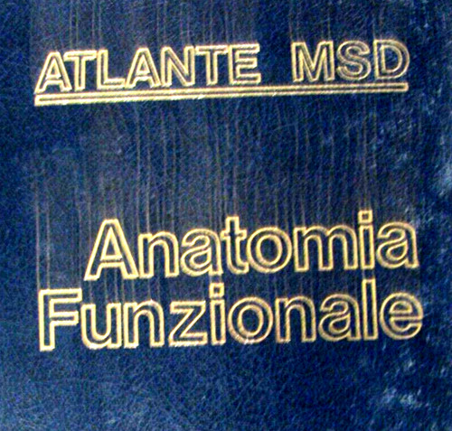 Anatomia funzionale atlante - anatomia,