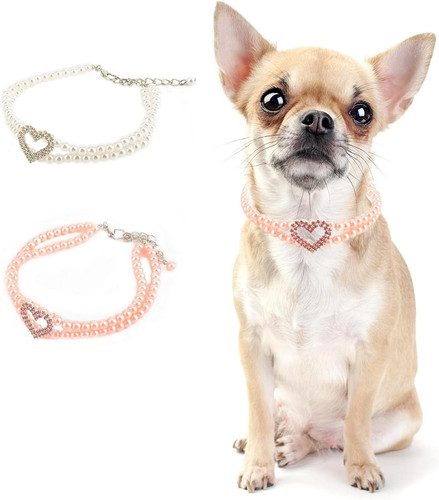 Collana per cane - collana,